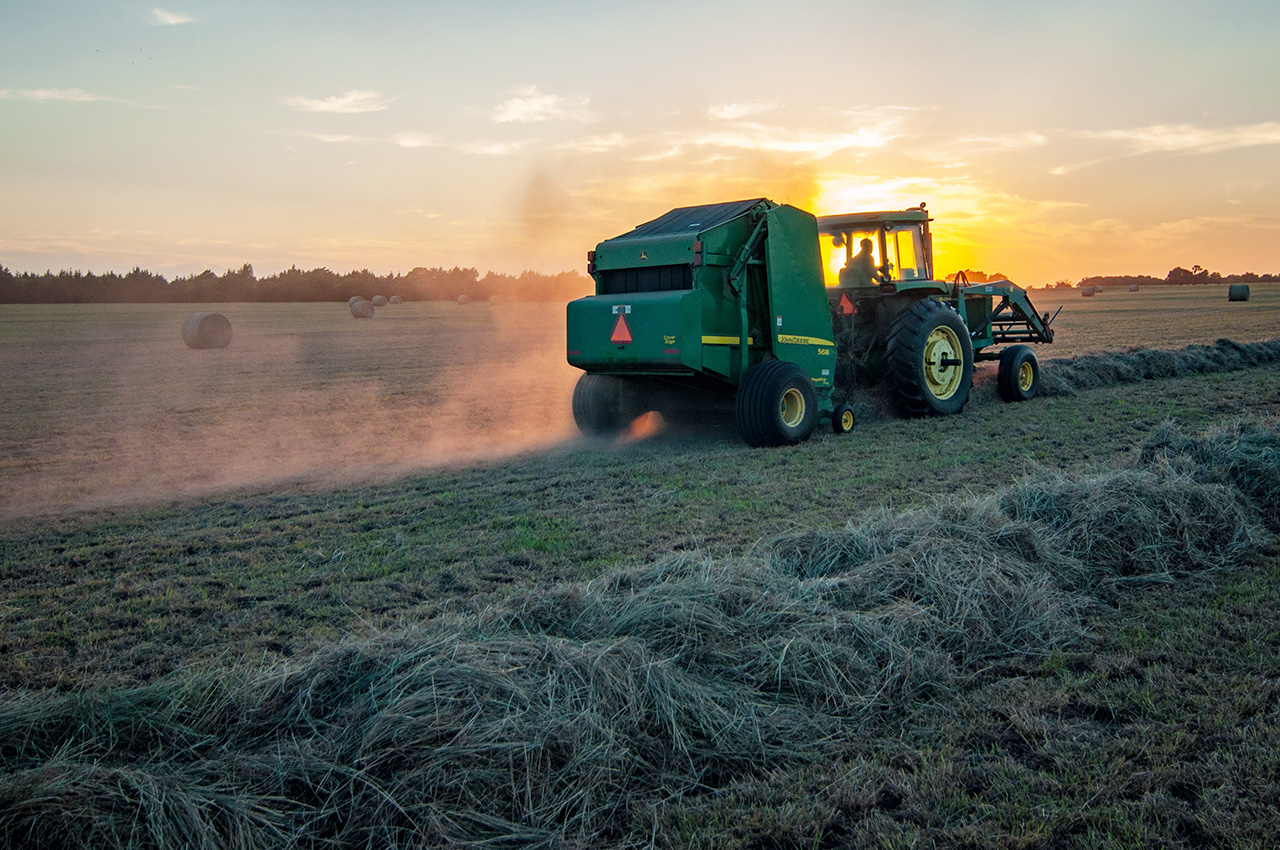 Dorset Training - Rural and Land Based Training