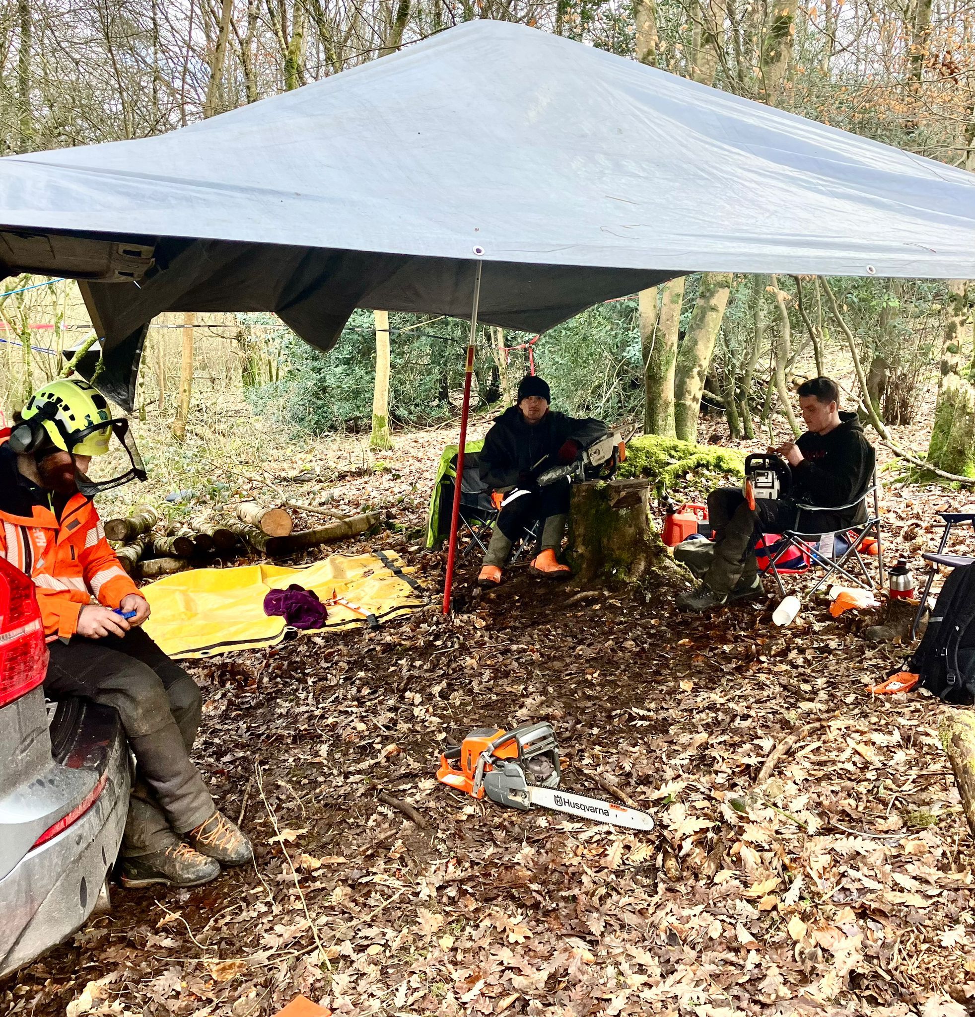 Forestry Skills - Tree Felling Course