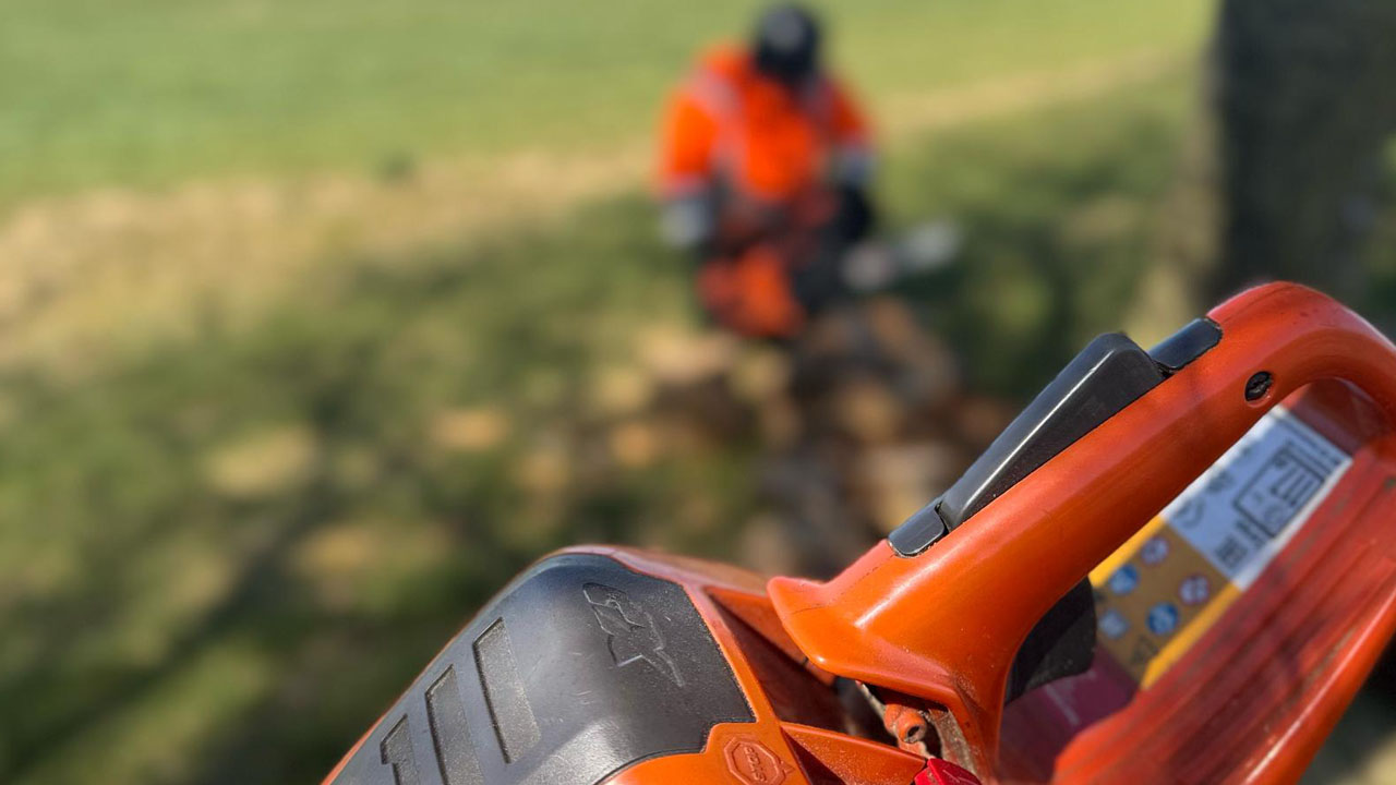 Chainsaw training 2025