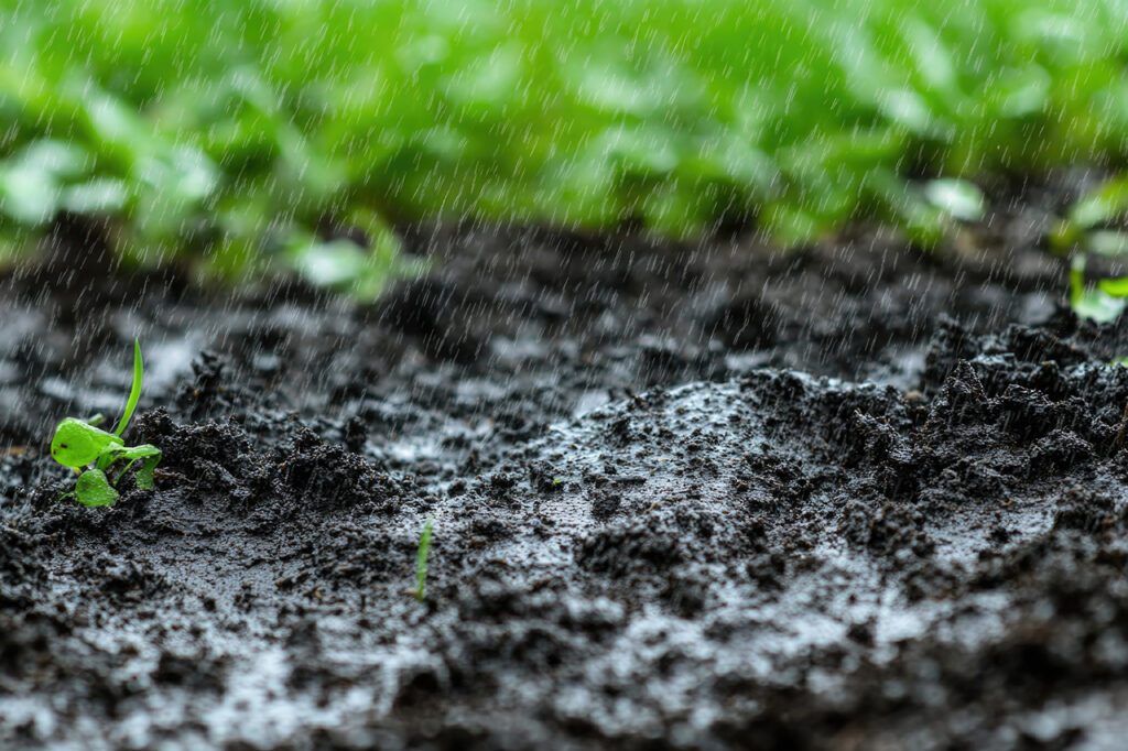Why Soil and Water Management Training Is More Important Than Ever 6 BASIS Soil and Water Course